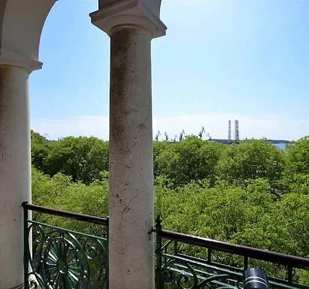 A.m.p. * Pula